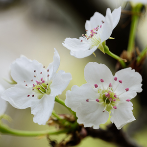 91传媒-熊猫成人网
